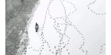 Lone person with scattered footprints symbolizing a wandering mind on a call