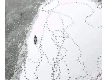 Lone person with scattered footprints symbolizing a wandering mind on a call