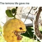 A menacing lemon on a tree with the caption "The lemons life gave me."