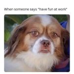 Dog with a skeptical face captioned about having fun at work.
