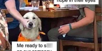 Dog surrounded by people at a restaurant, labeled with office humor.