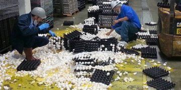 Workers dealing with a massive egg spill in the warehouse.