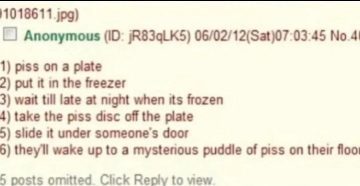 Screenshot of an anonymous prank involving frozen pee for a funny fail.