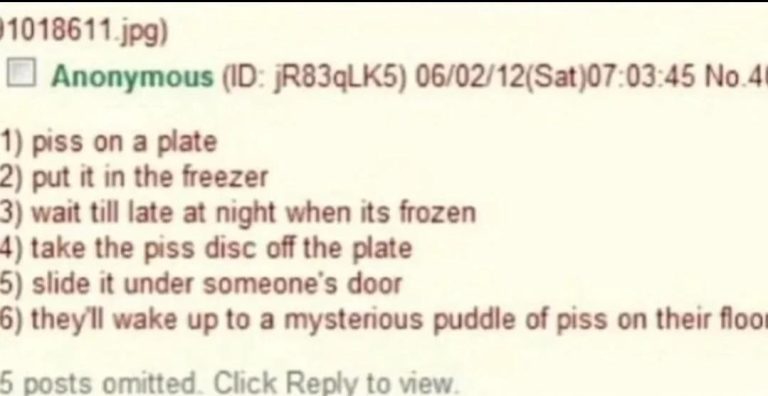 Screenshot of an anonymous prank involving frozen pee for a funny fail.
