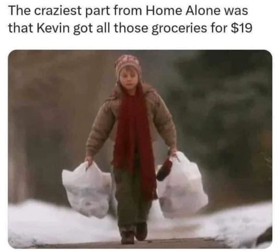 Kevin from Home Alone carrying groceries bought for $19.