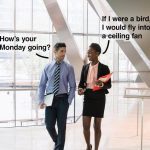 Businesswoman joking about flying into a ceiling fan on Monday.