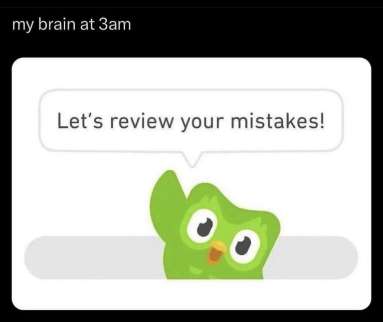 Duolingo owl reviewing mistakes at 3am