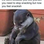Otter looking regretful about not buying snacks at the store.