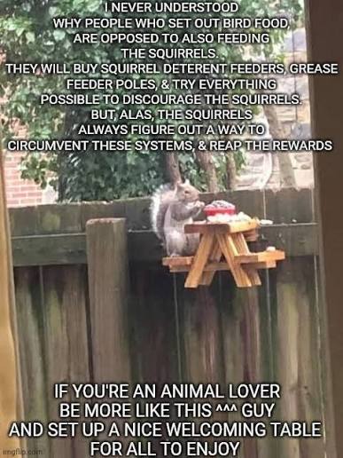 Squirrel enjoying a tiny picnic table with snacks on a fence.