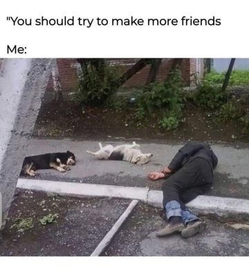 Person and two dogs lying on sidewalk in relaxation mode.