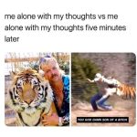 Meme showing peaceful and chaotic versions of alone time with thoughts