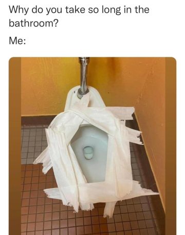 Over-papered toilet showing bathroom struggle humor