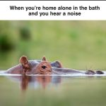 A hippo peeking out of water, captioned about hearing noises when alone.
