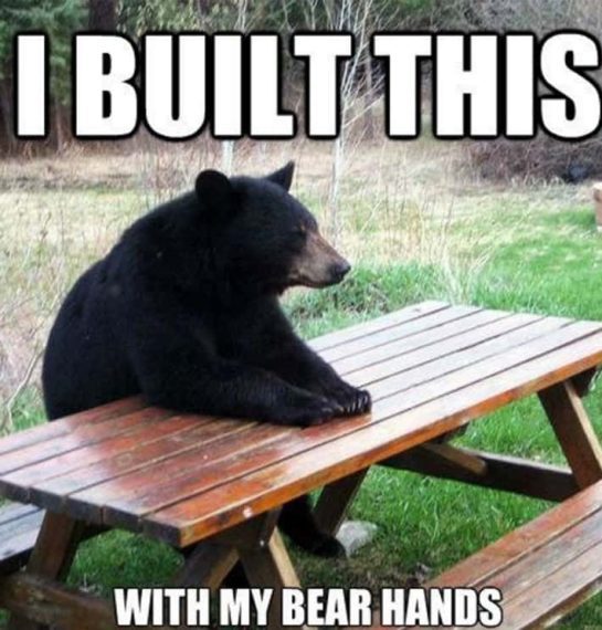 Black bear sitting at picnic table with text "I built this with my bear hands"