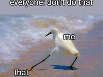 Bird defying advice by stepping on the forbidden thing