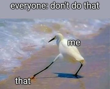 Bird defying advice by stepping on the forbidden thing