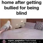Hilarious meme about being bullied for being blind with a funny comment.