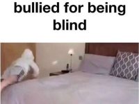 Hilarious meme about being bullied for being blind with a funny comment.