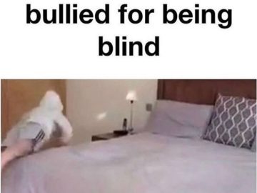 Hilarious meme about being bullied for being blind with a funny comment.