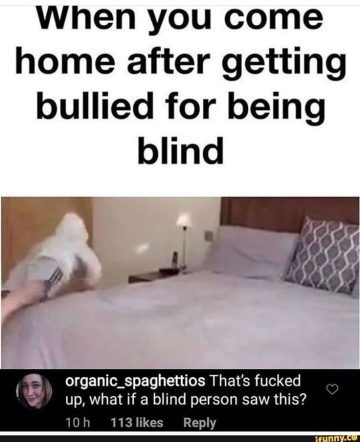 Hilarious meme about being bullied for being blind with a funny comment.