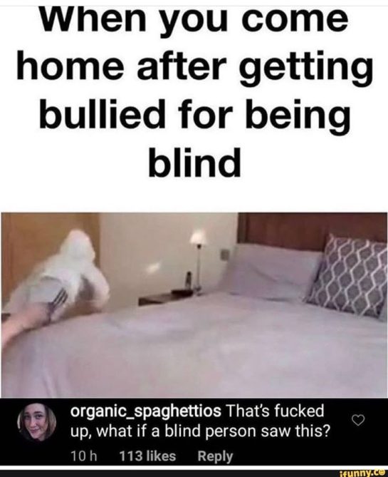 Hilarious meme about being bullied for being blind with a funny comment.