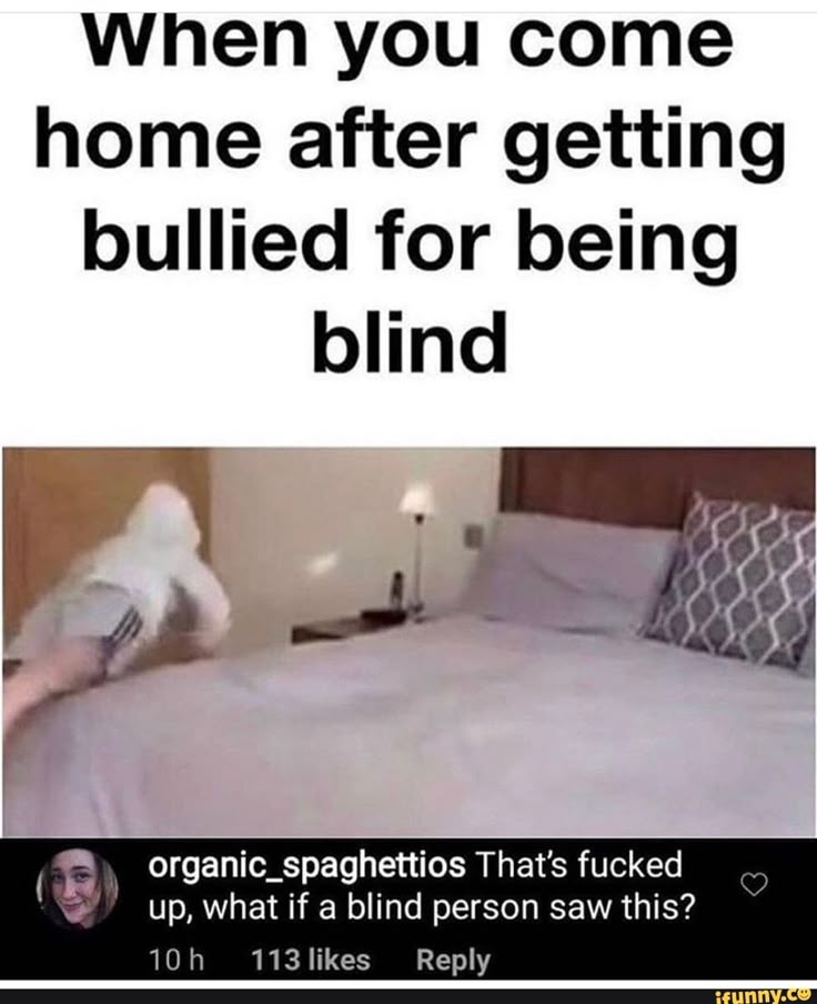 Hilarious meme about being bullied for being blind with a funny comment.