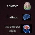 A humorous brain meme showing different brain stages with captions.