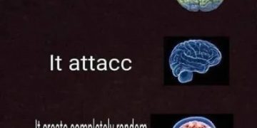 A humorous brain meme showing different brain stages with captions.