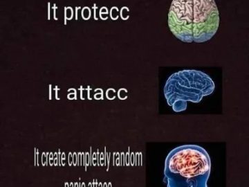 A humorous brain meme showing different brain stages with captions.