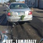 Car with plants dragging along the street, funny arrest scenario