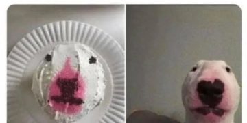 Dog cake resembling a dog's face next to the real dog.