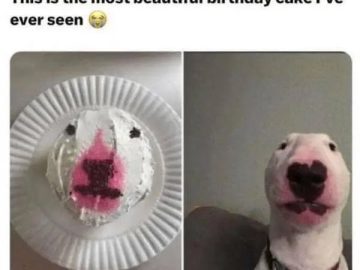 Dog cake resembling a dog's face next to the real dog.
