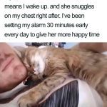 Cat snuggling on owner's chest after alarm, showcasing love.