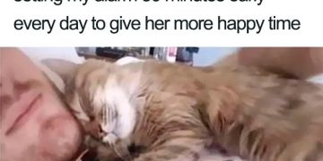 Cat snuggling on owner's chest after alarm, showcasing love.