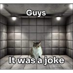Cat sitting in a padded room with text "Guys, it was a joke"