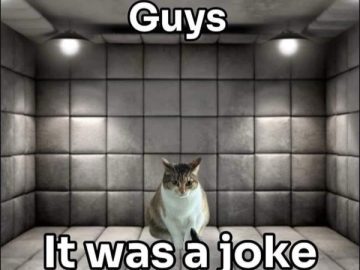 Cat sitting in a padded room with text "Guys, it was a joke"