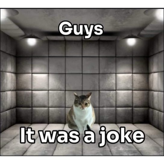 Cat sitting in a padded room with text "Guys, it was a joke"