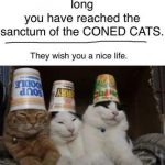 Three cats with containers on their heads spreading joy.