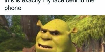 Shrek's confused face with "???" comment meme