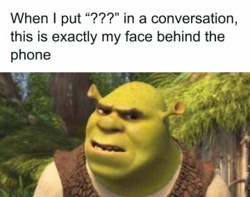 Shrek's confused face with "???" comment meme