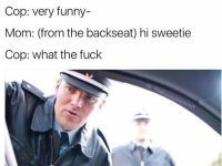 Cop gets owned by unexpected mom joke twist in patrol scene.