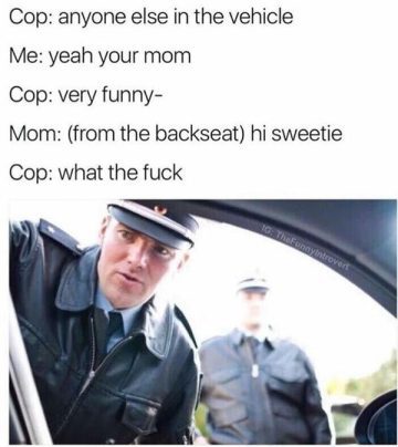 Cop gets owned by unexpected mom joke twist in patrol scene.