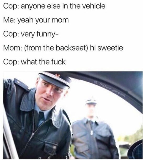 Cop gets owned by unexpected mom joke twist in patrol scene.