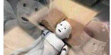 Mannequin looks shocked thinking if crabs believe fish can fly.