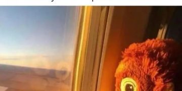 Plush toy looking out airplane window ignoring boss's denial of time off