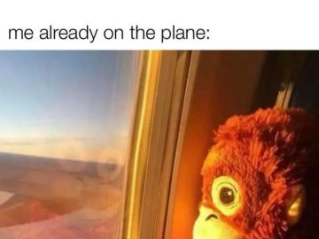 Plush toy looking out airplane window ignoring boss's denial of time off