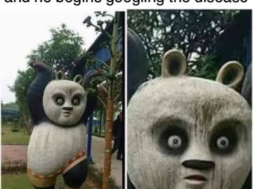 Statue of a surprised panda reacting to doctor Googling symptoms.