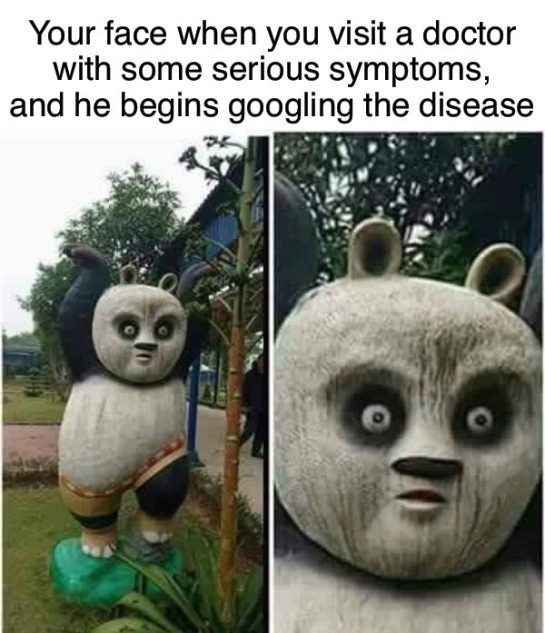 Statue of a surprised panda reacting to doctor Googling symptoms.