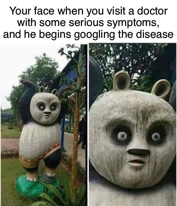 Statue of a surprised panda reacting to doctor Googling symptoms.
