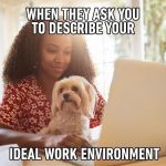 Woman working on laptop with her dog as the ideal coworker.